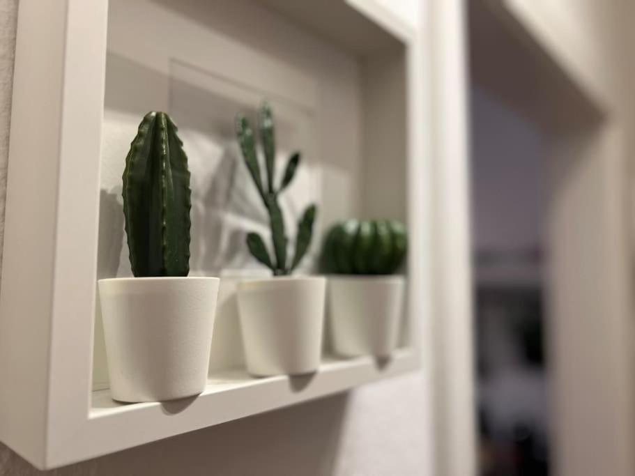Stadtoase Design Wohnung In Der Altstadt Von Koblenz コブレンツ エクステリア 写真