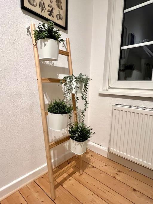 Stadtoase Design Wohnung In Der Altstadt Von Koblenz コブレンツ エクステリア 写真