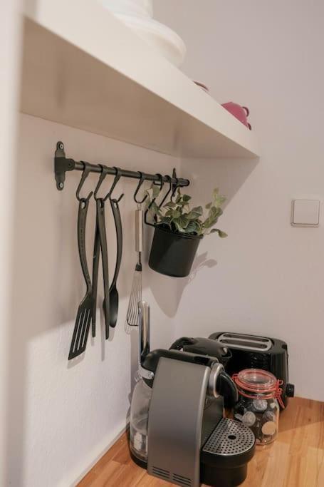 Stadtoase Design Wohnung In Der Altstadt Von Koblenz コブレンツ エクステリア 写真