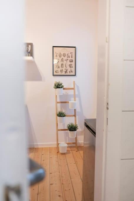 Stadtoase Design Wohnung In Der Altstadt Von Koblenz コブレンツ エクステリア 写真