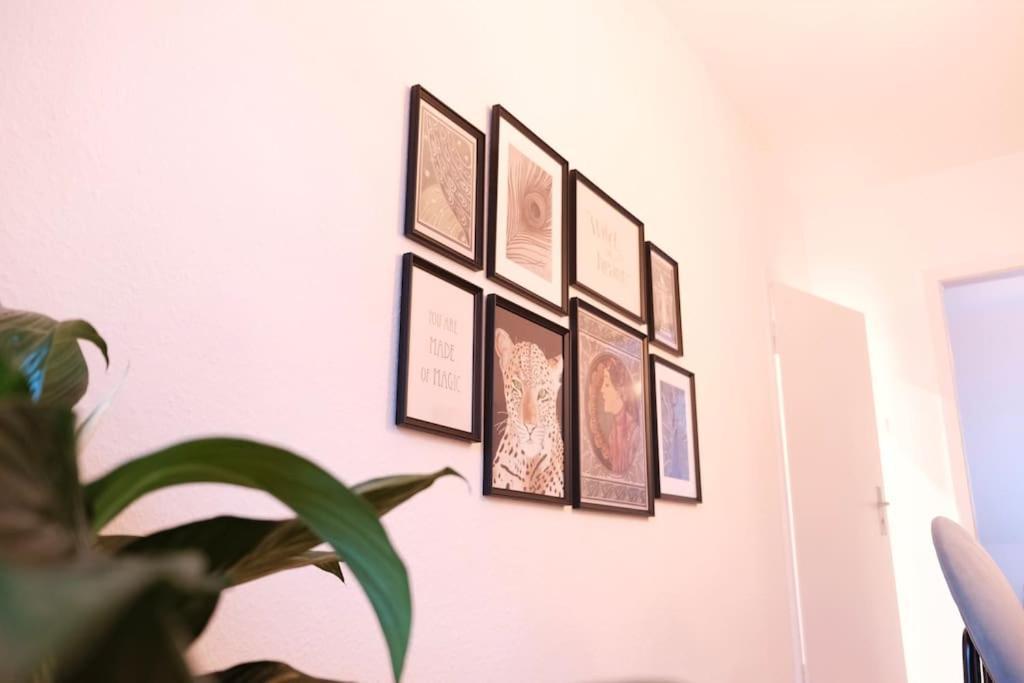 Stadtoase Design Wohnung In Der Altstadt Von Koblenz コブレンツ エクステリア 写真