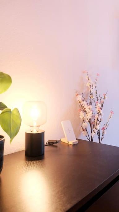 Stadtoase Design Wohnung In Der Altstadt Von Koblenz コブレンツ エクステリア 写真
