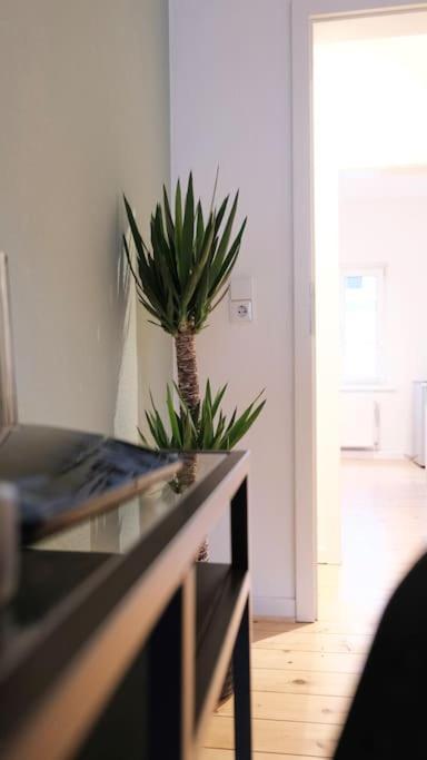Stadtoase Design Wohnung In Der Altstadt Von Koblenz コブレンツ エクステリア 写真